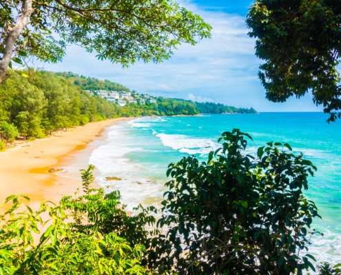 Quelle approche adopter pour comparer efficacement plusieurs offres de voyage Guadeloupe ?
