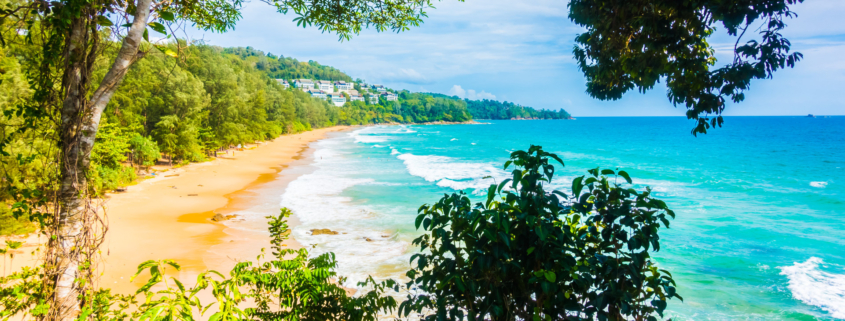 Quelle approche adopter pour comparer efficacement plusieurs offres de voyage Guadeloupe ?